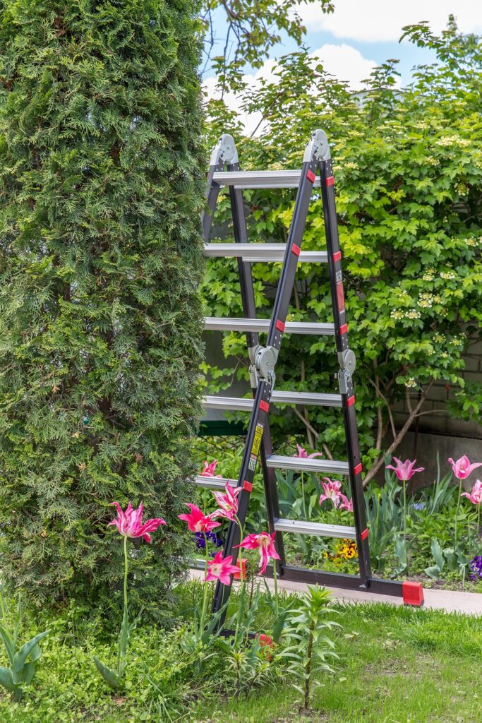 Domů 7 garden 6803861 1920 1